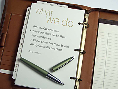 What We Do: Web page 2